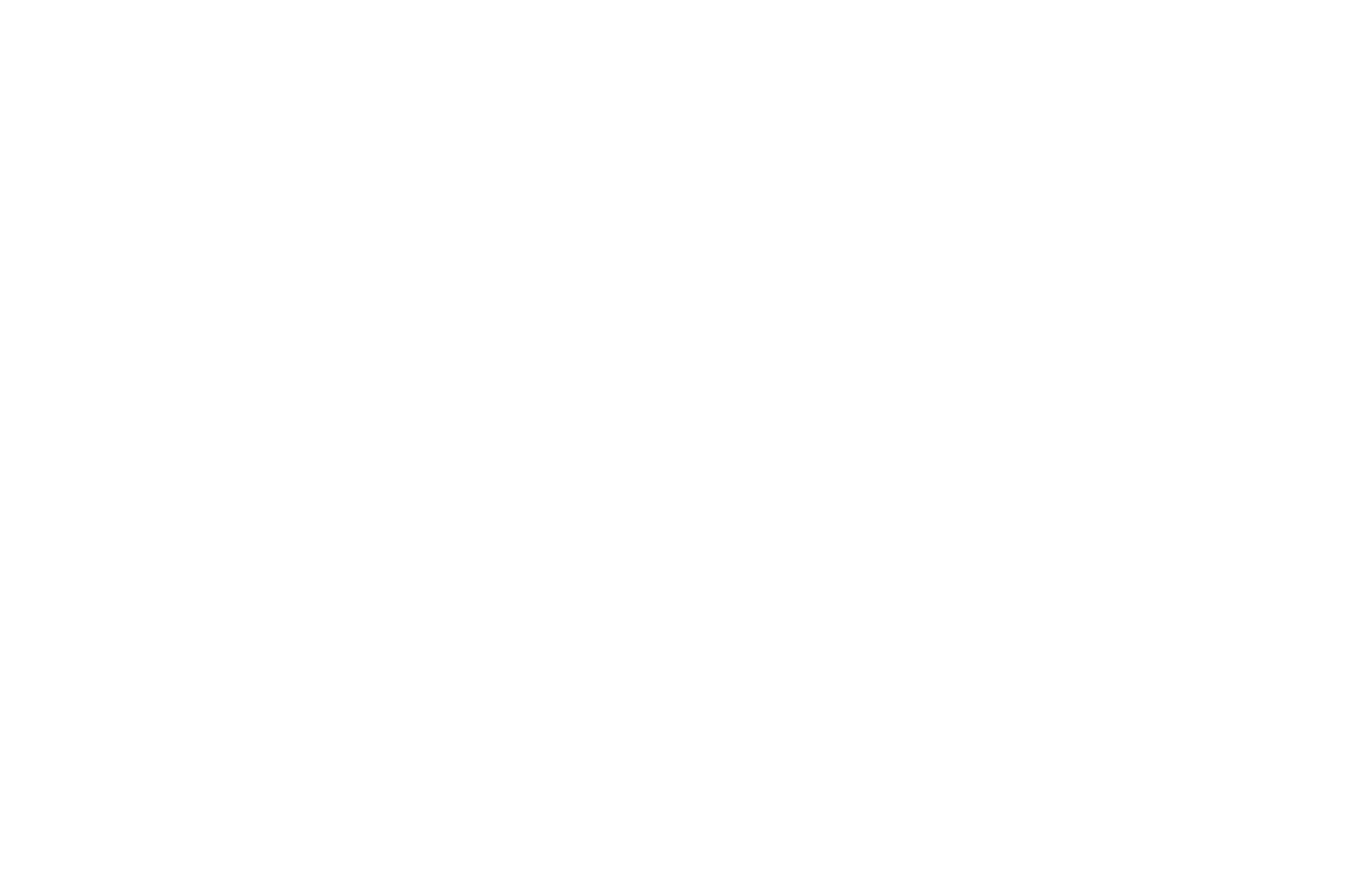 Elektrik Eel logo